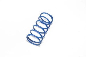 CVT Spring